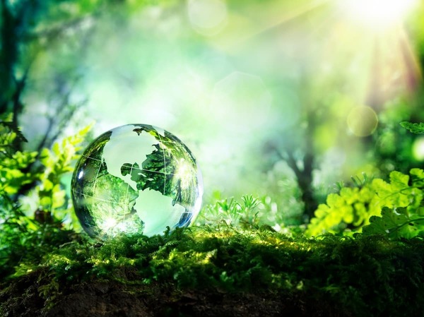 Earth in Green Crystal Ball in a Green Forest with Sunlight